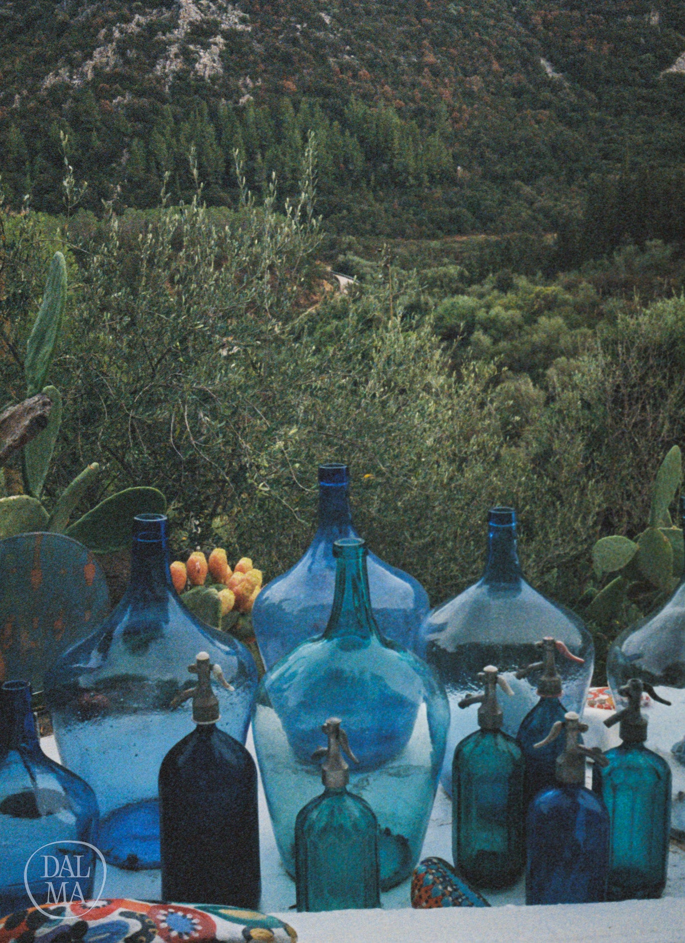 Blue Bottles