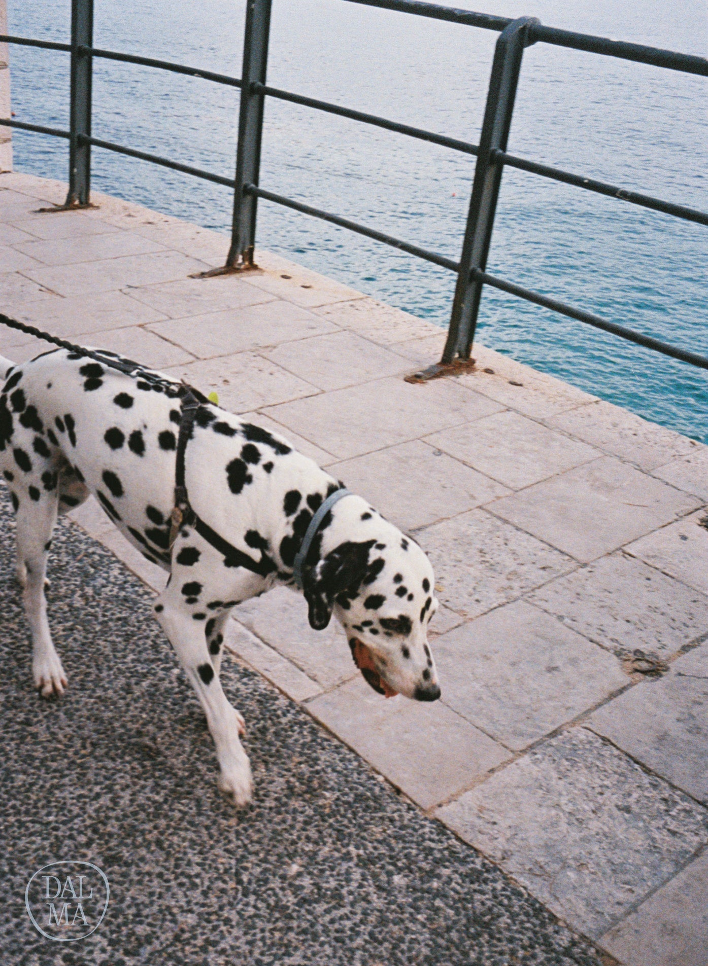 Riva Stroll